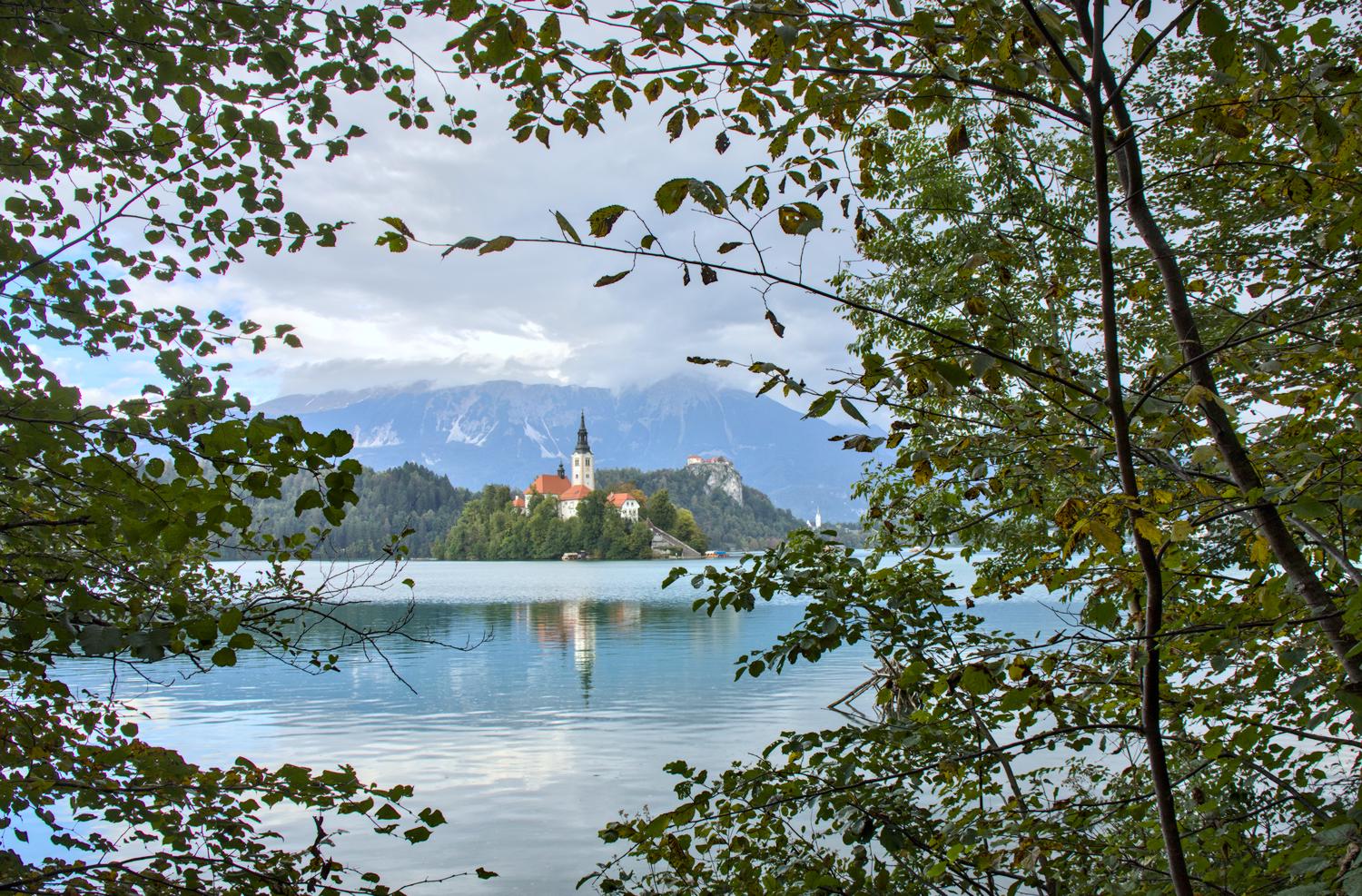 lake Bled through trees