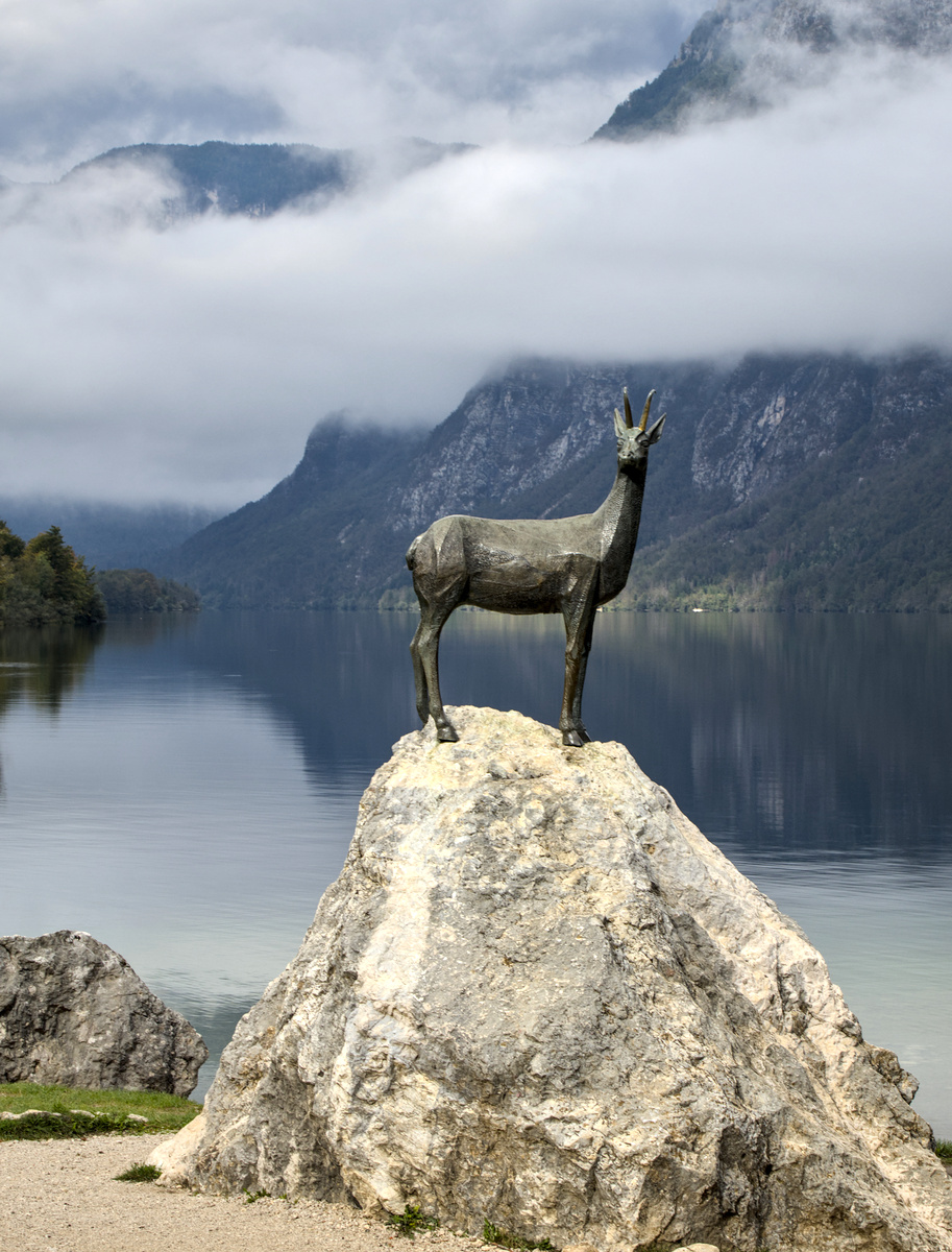 bohinj in fog