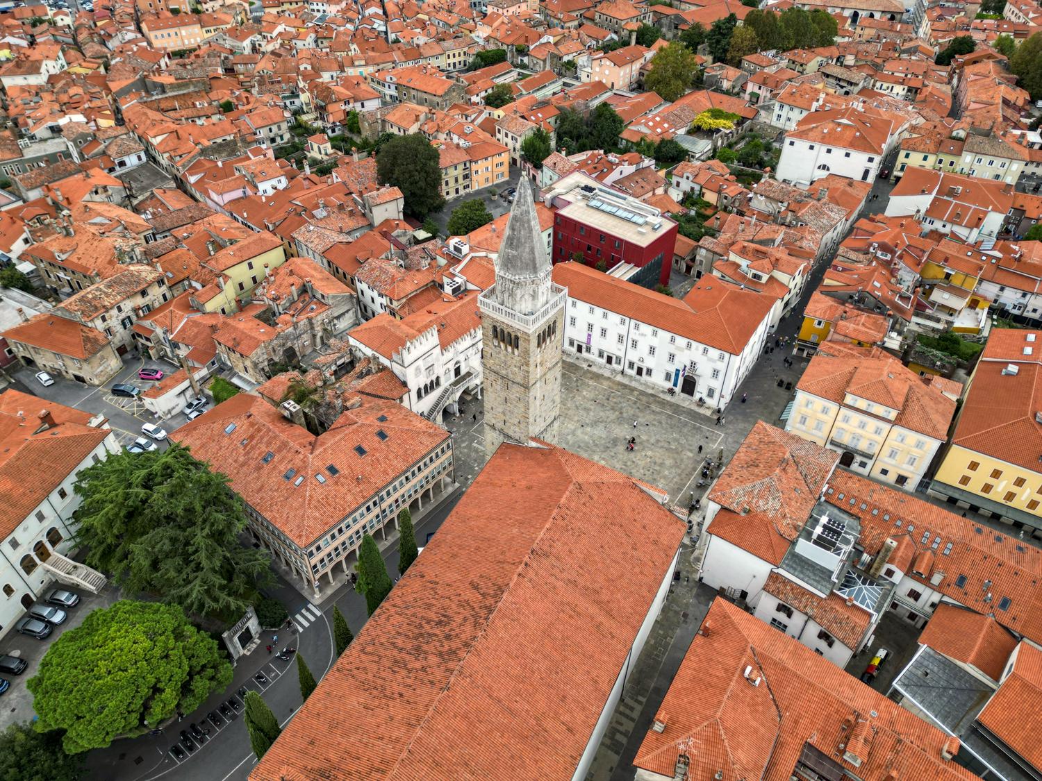 lunch in Koper
