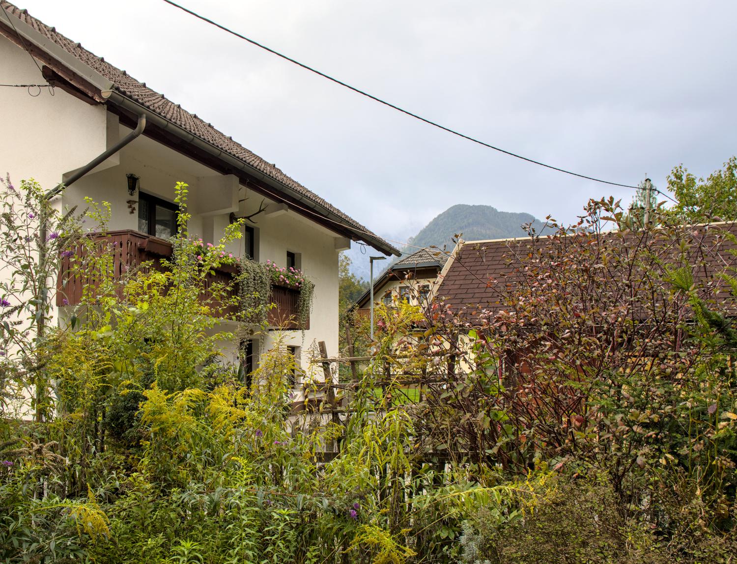 mojstrana house