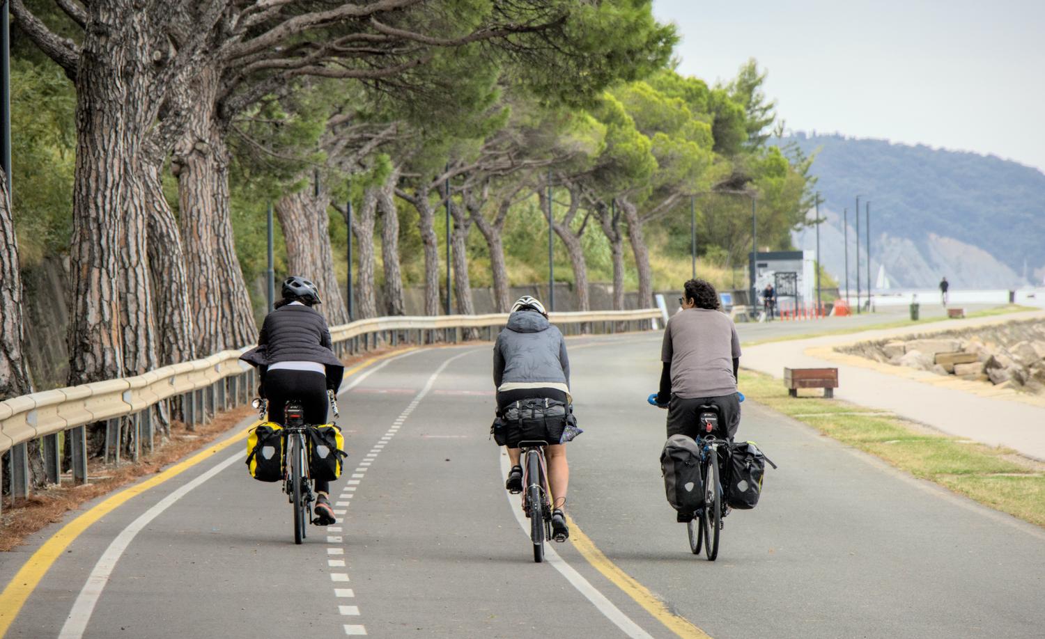 3 riders on the trail