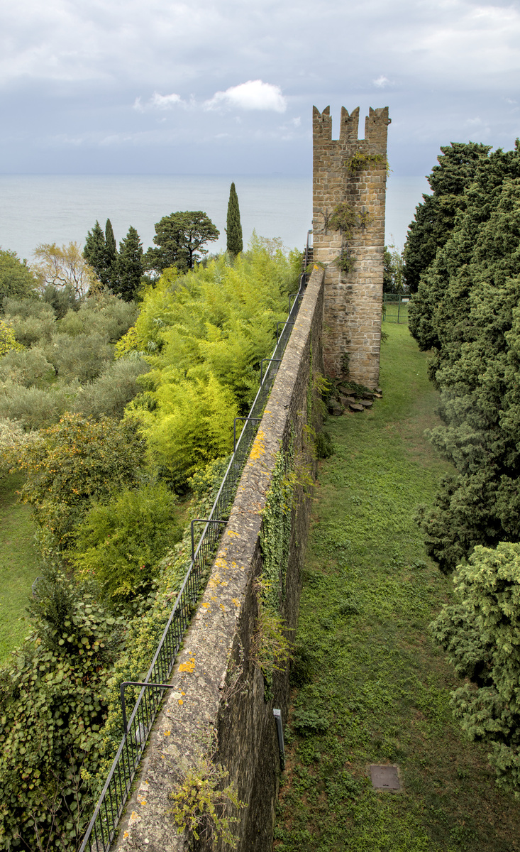 wall in piran