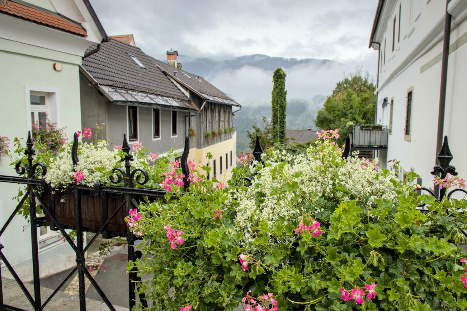 Radovljica in rain