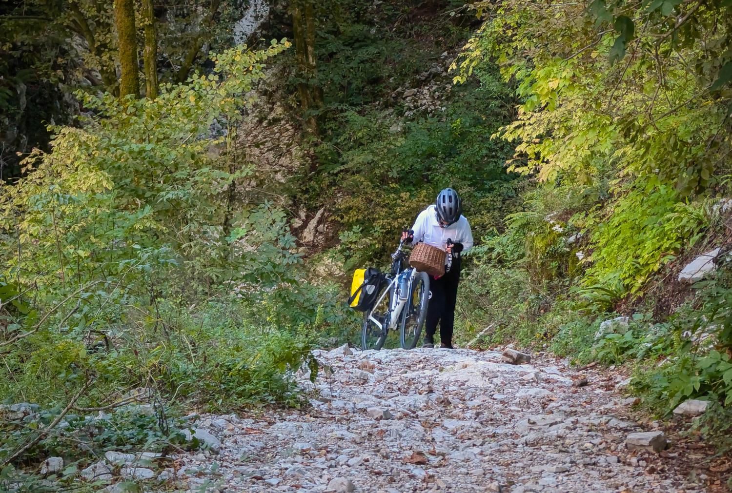 natalie pushing bike up rough road