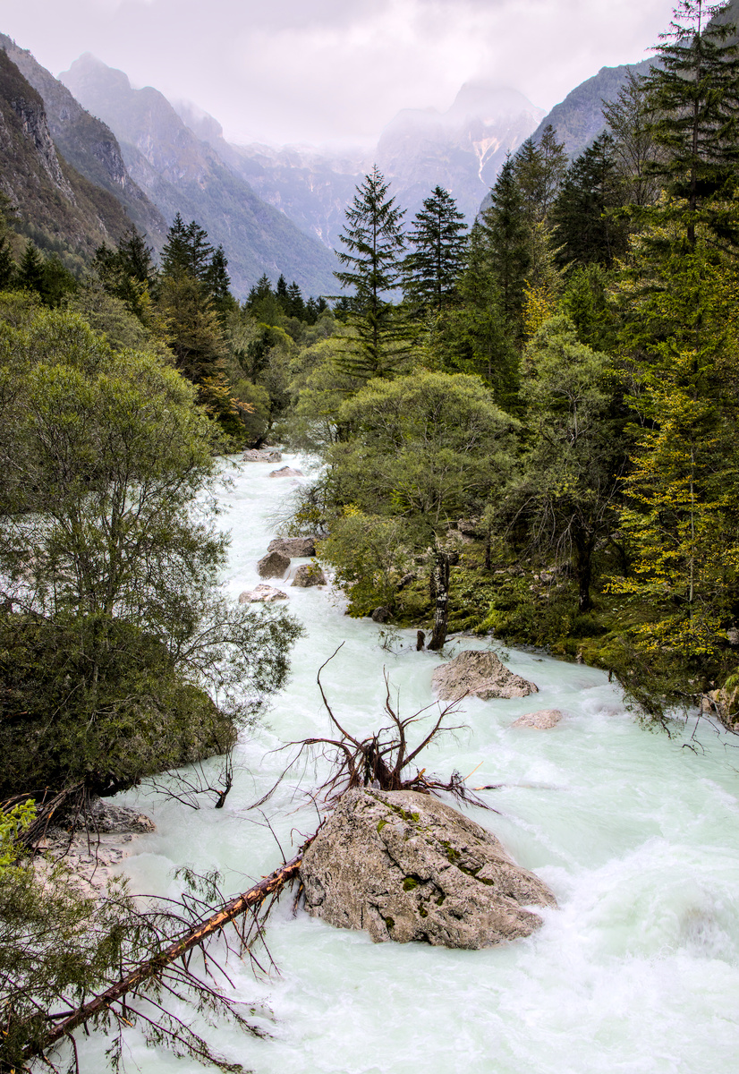 bovec